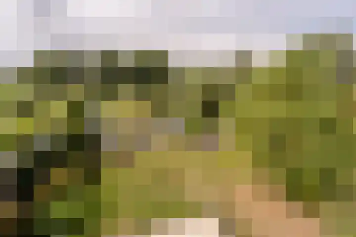 Hoeksedijk 43 Maasdam thumbnail 21