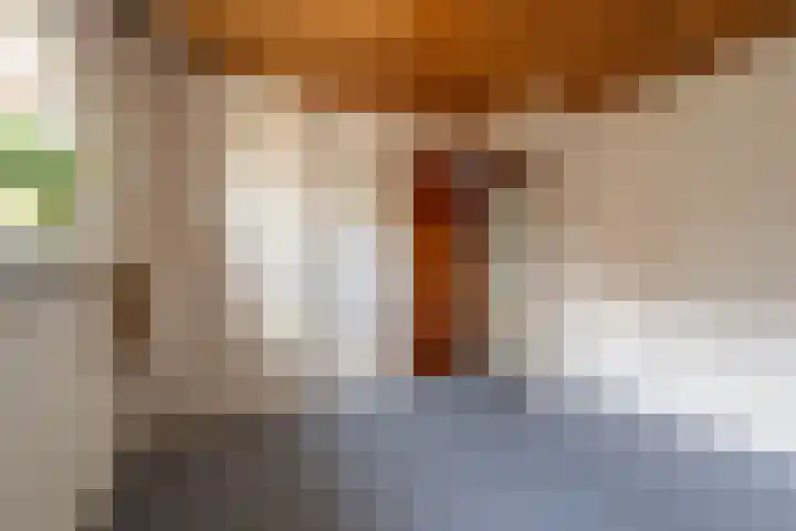 Hoeksedijk 43 Maasdam thumbnail 22