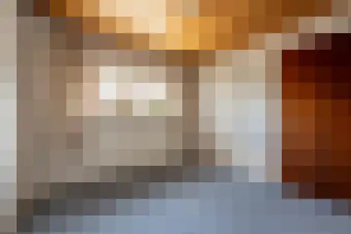 Hoeksedijk 43 Maasdam thumbnail 23