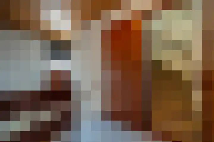 Hoeksedijk 43 Maasdam thumbnail 26