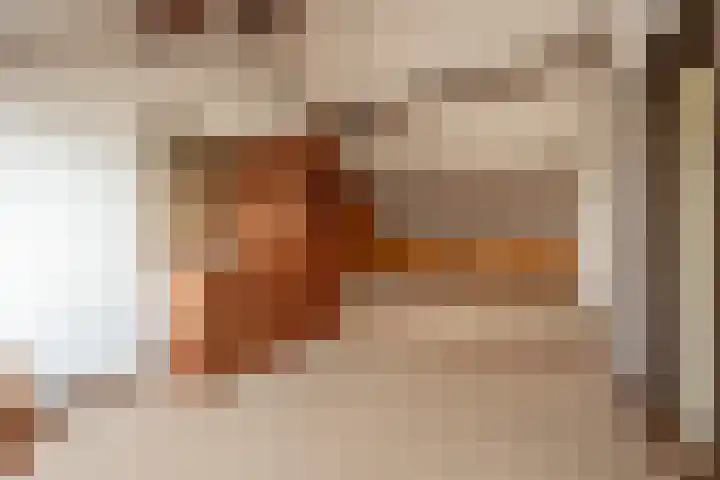 Hoeksedijk 43 Maasdam thumbnail 28