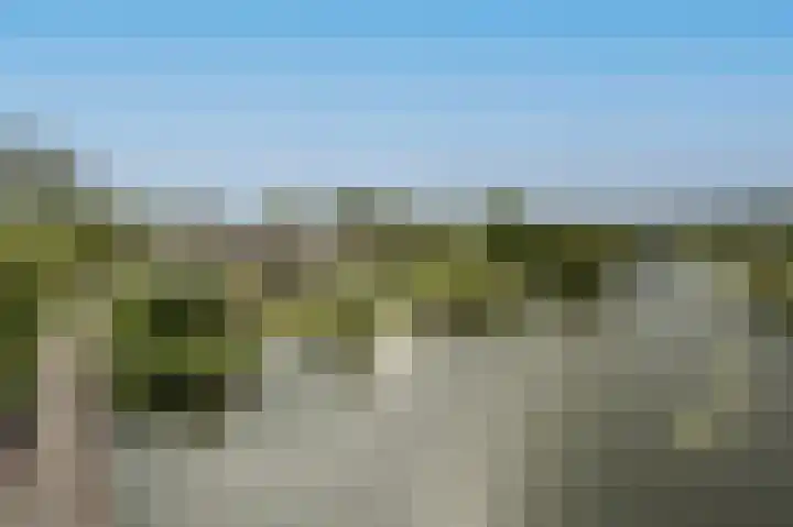 Hoeksedijk 43 Maasdam foto 3