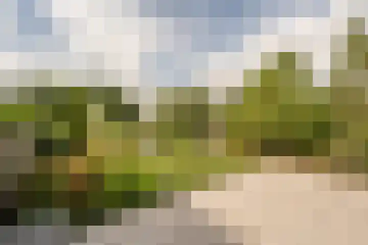 Hoeksedijk 43 Maasdam thumbnail 30