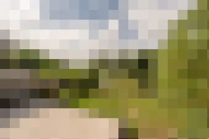 Hoeksedijk 43 Maasdam thumbnail 31