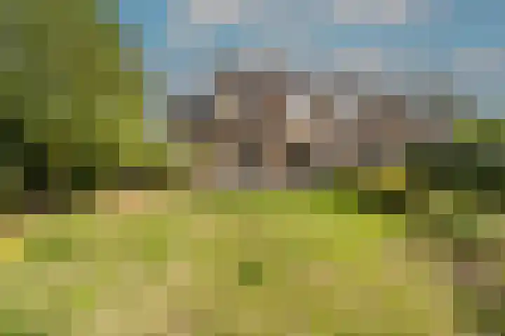 Hoeksedijk 43 Maasdam thumbnail 32