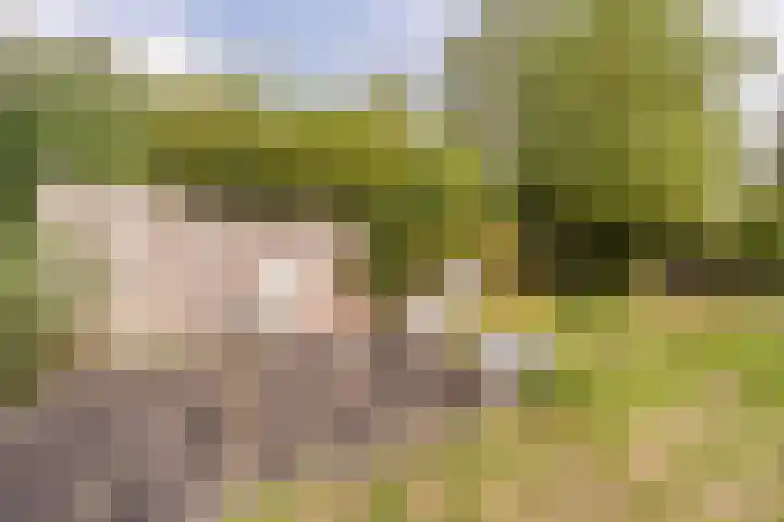 Hoeksedijk 43 Maasdam thumbnail 33