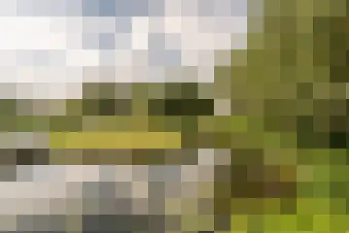 Hoeksedijk 43 Maasdam thumbnail 34