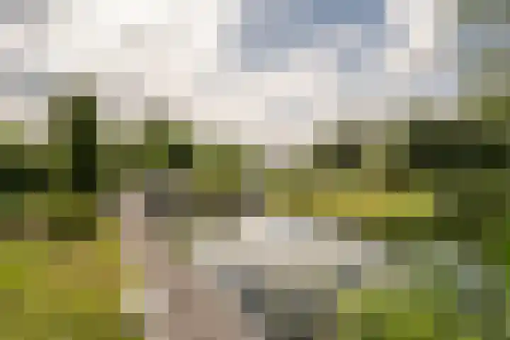 Hoeksedijk 43 Maasdam thumbnail 35