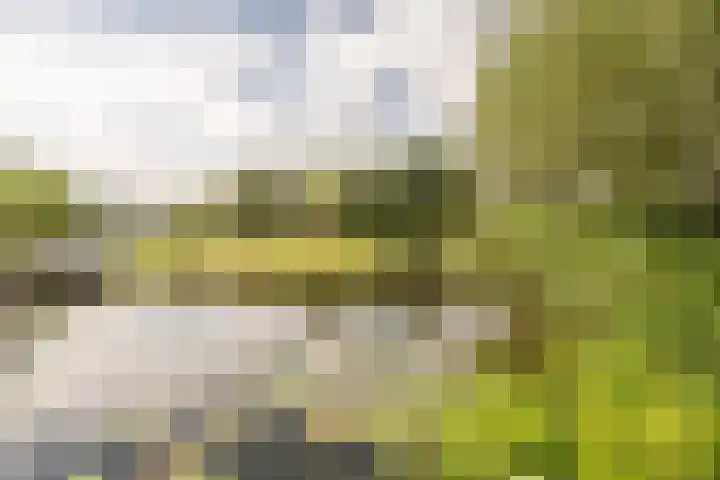 Hoeksedijk 43 Maasdam thumbnail 36