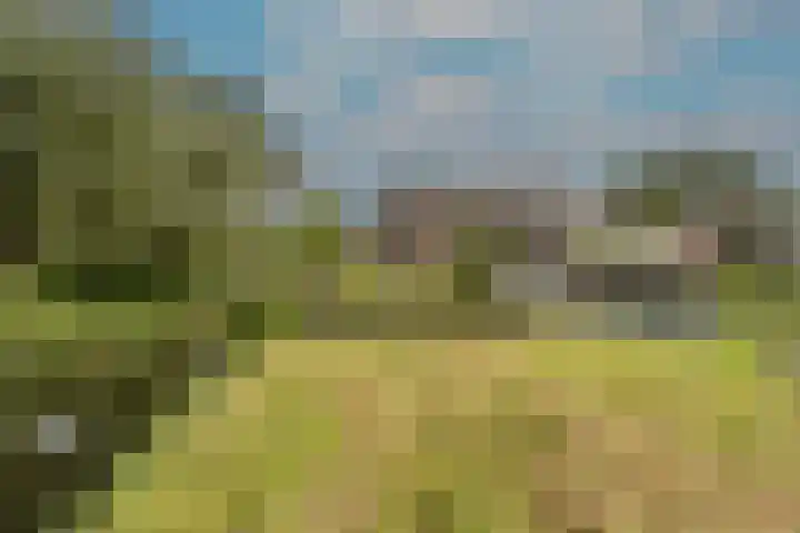 Hoeksedijk 43 Maasdam thumbnail 37