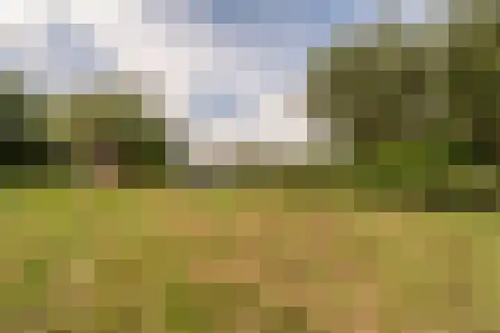 Hoeksedijk 43 Maasdam thumbnail 38