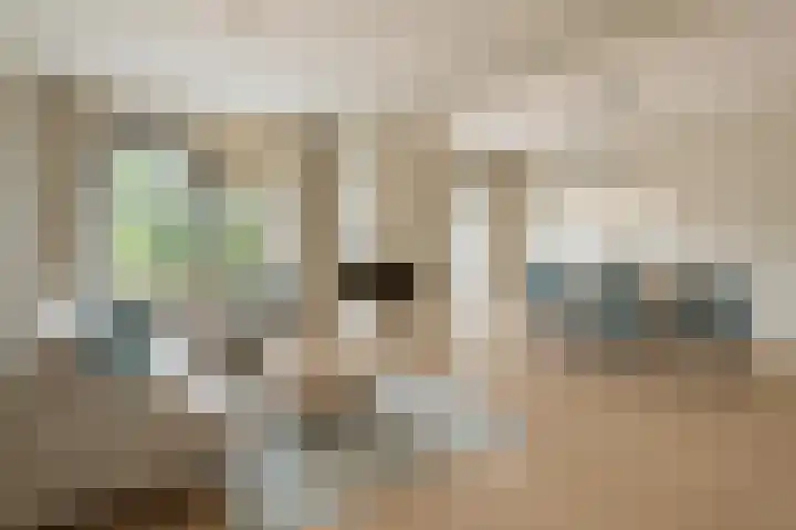 Hoeksedijk 43 Maasdam thumbnail 4