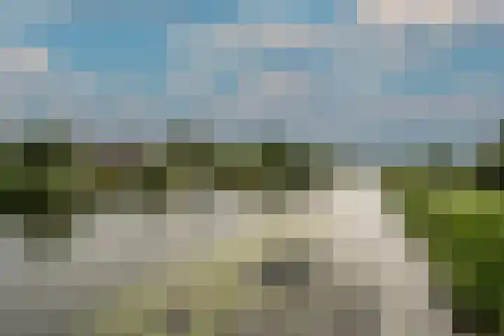 Hoeksedijk 43 Maasdam thumbnail 43