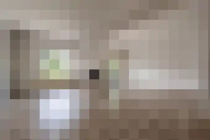 Hoeksedijk 43 Maasdam thumbnail 5