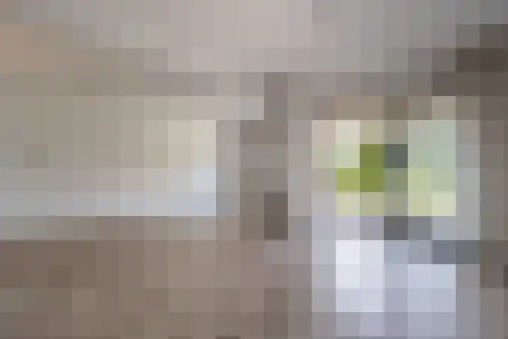 Hoeksedijk 43 Maasdam thumbnail 6