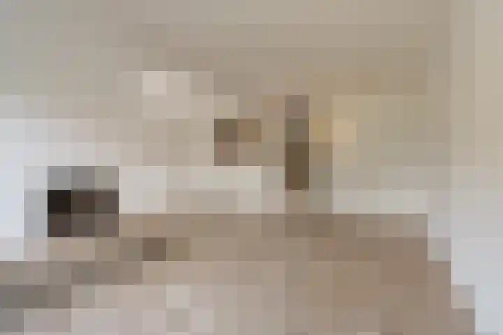Hoeksedijk 43 Maasdam thumbnail 7