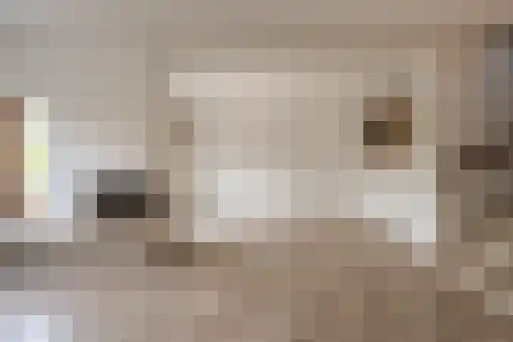 Hoeksedijk 43 Maasdam thumbnail 8