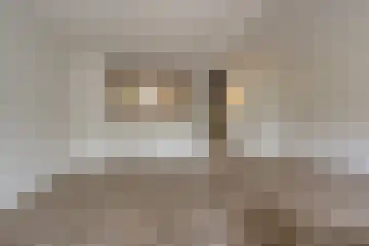 Hoeksedijk 43 Maasdam thumbnail 9