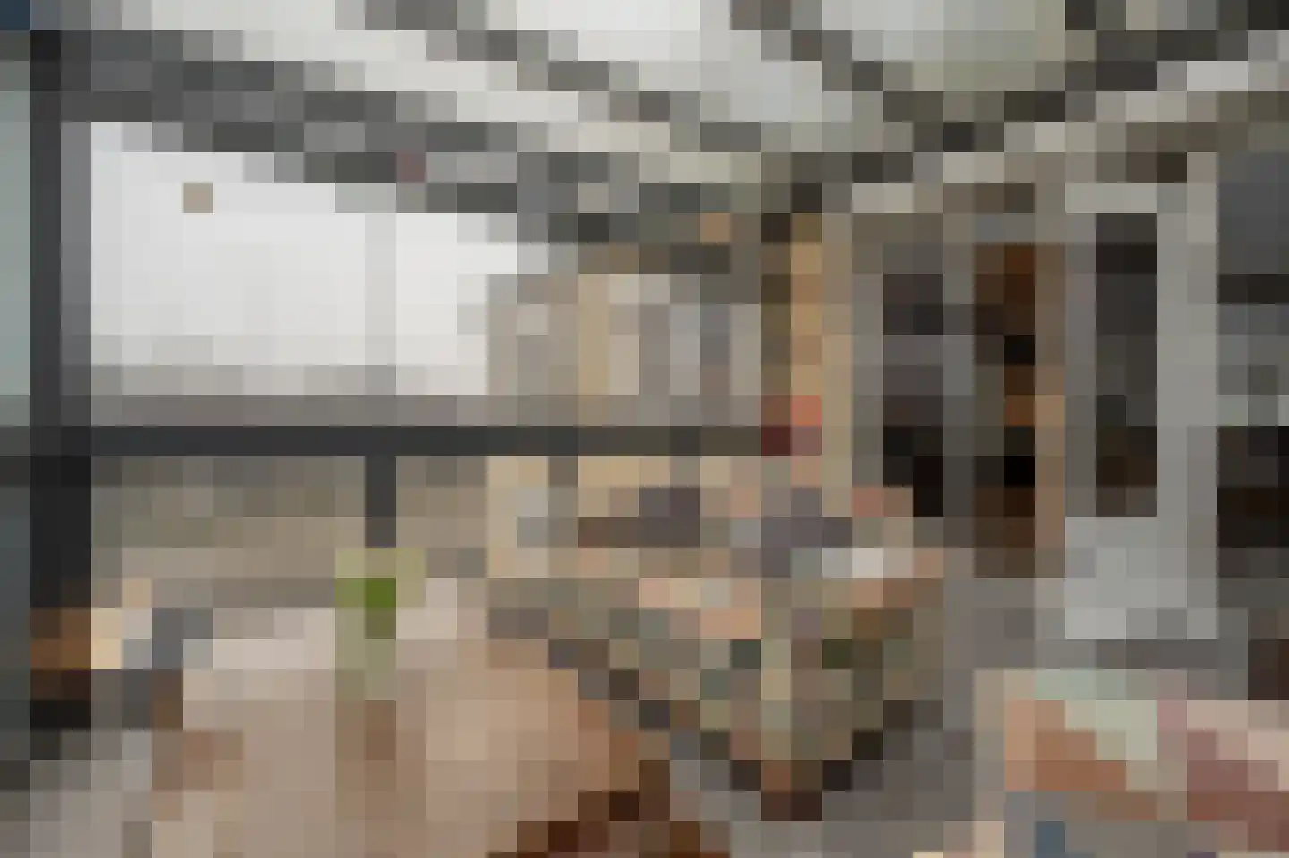 Hoeksedijk 49 Maasdam thumbnail 11