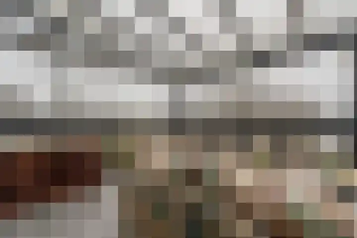 Hoeksedijk 49 Maasdam thumbnail 12