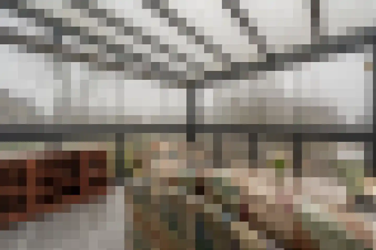 Hoeksedijk 49 Maasdam thumbnail 12