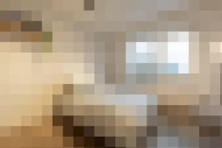 Hoeksedijk 49 Maasdam thumbnail 13