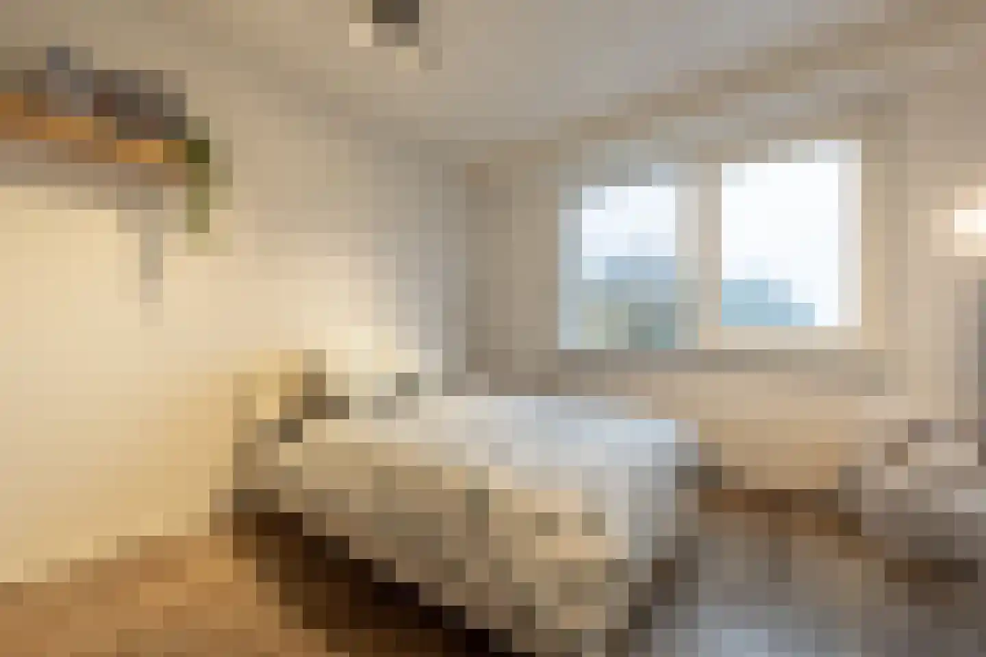 Hoeksedijk 49 Maasdam thumbnail 13