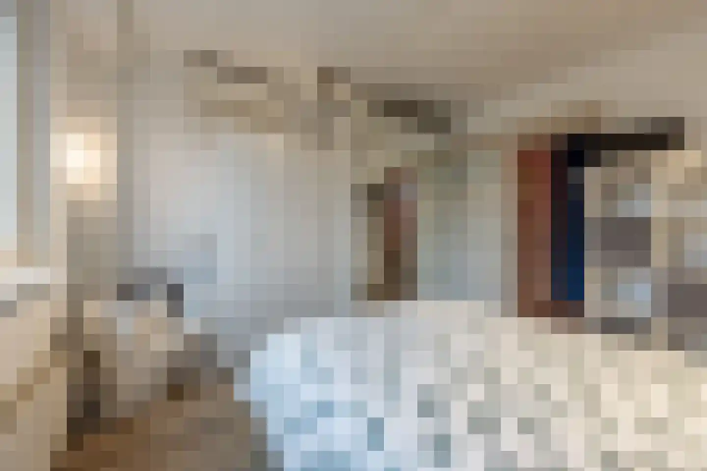 Hoeksedijk 49 Maasdam thumbnail 14
