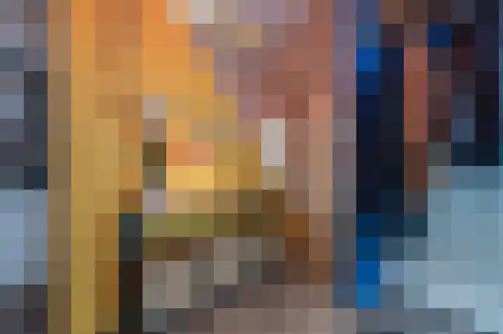 Hoeksedijk 49 Maasdam thumbnail 17
