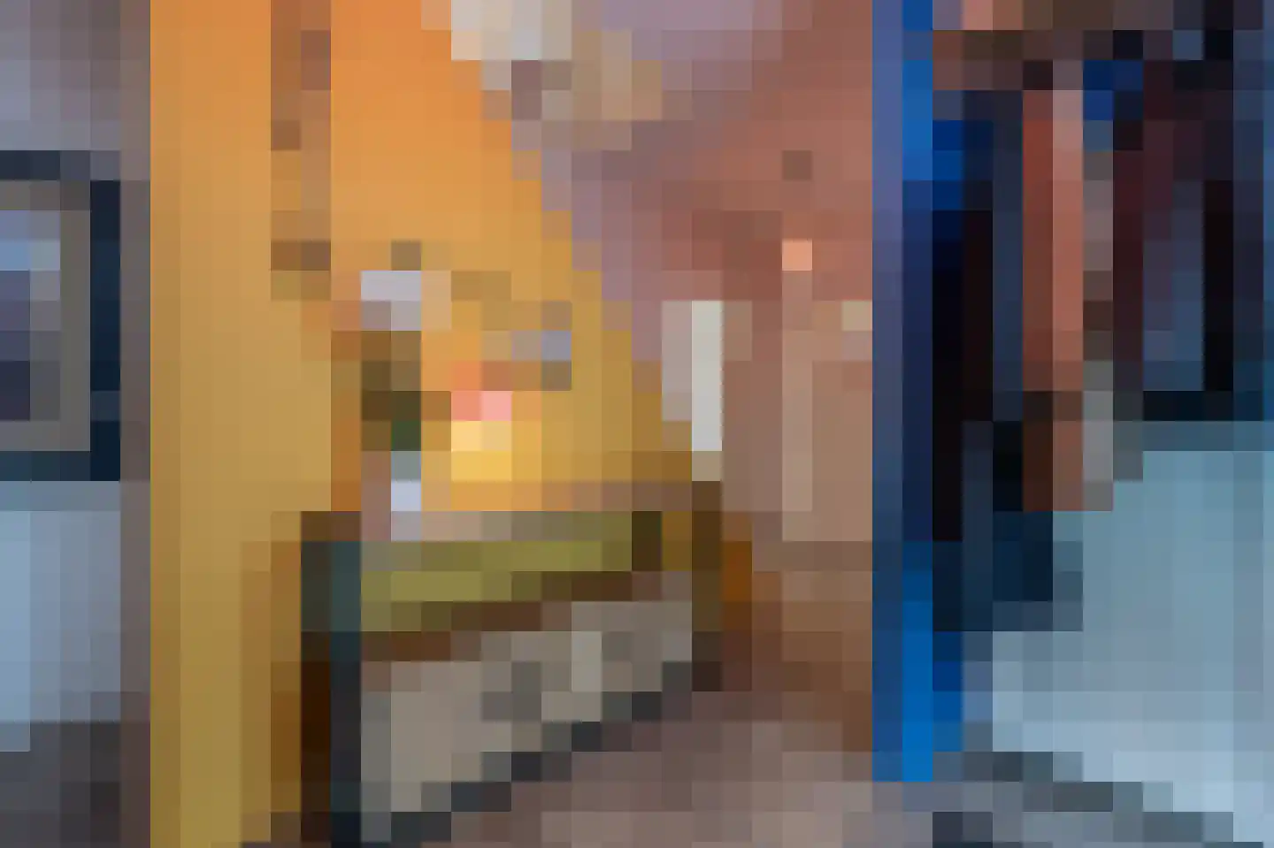 Hoeksedijk 49 Maasdam thumbnail 17