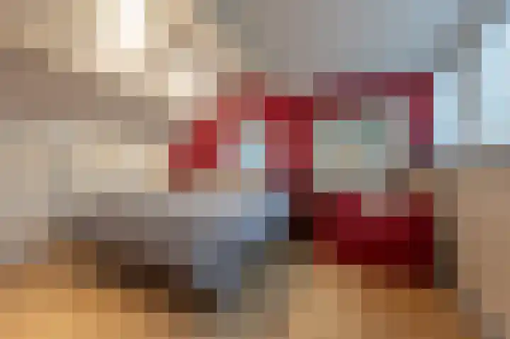 Hoeksedijk 49 Maasdam thumbnail 19
