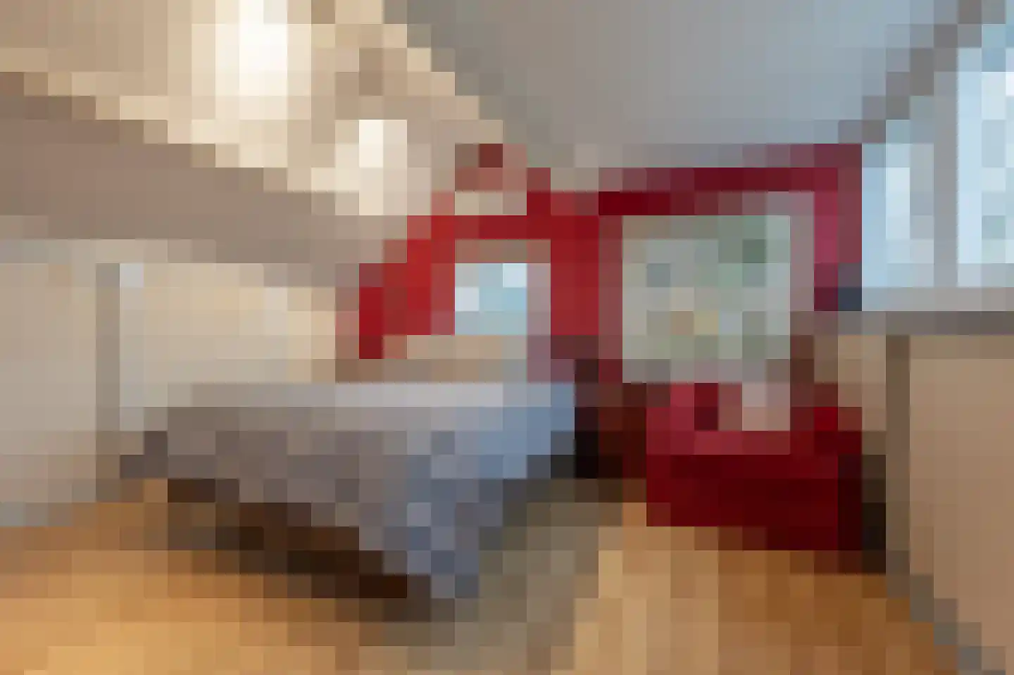 Hoeksedijk 49 Maasdam thumbnail 19