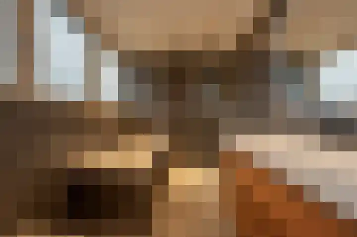 Hoeksedijk 49 Maasdam thumbnail 21