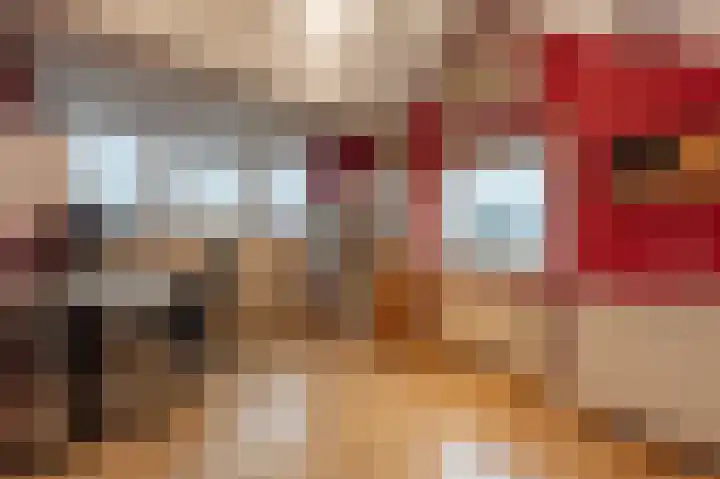 Hoeksedijk 49 Maasdam thumbnail 23