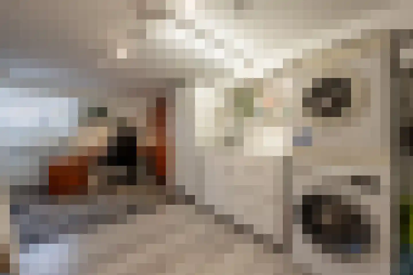 Hoeksedijk 49 Maasdam thumbnail 26