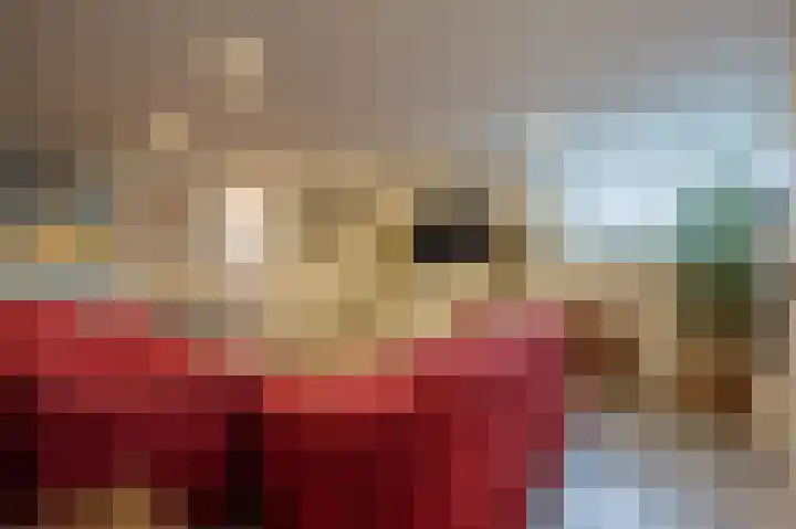 Hoeksedijk 49 Maasdam thumbnail 28