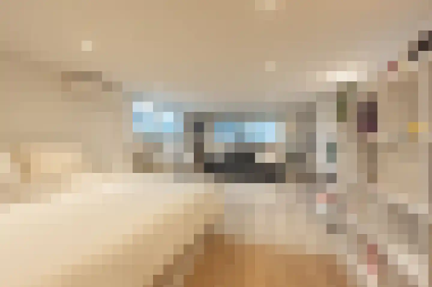 Hoeksedijk 49 Maasdam thumbnail 29