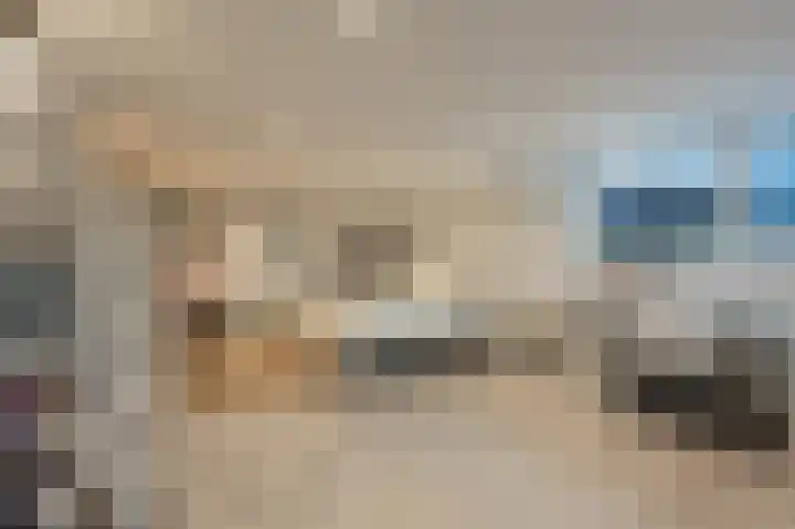 Hoeksedijk 49 Maasdam thumbnail 30