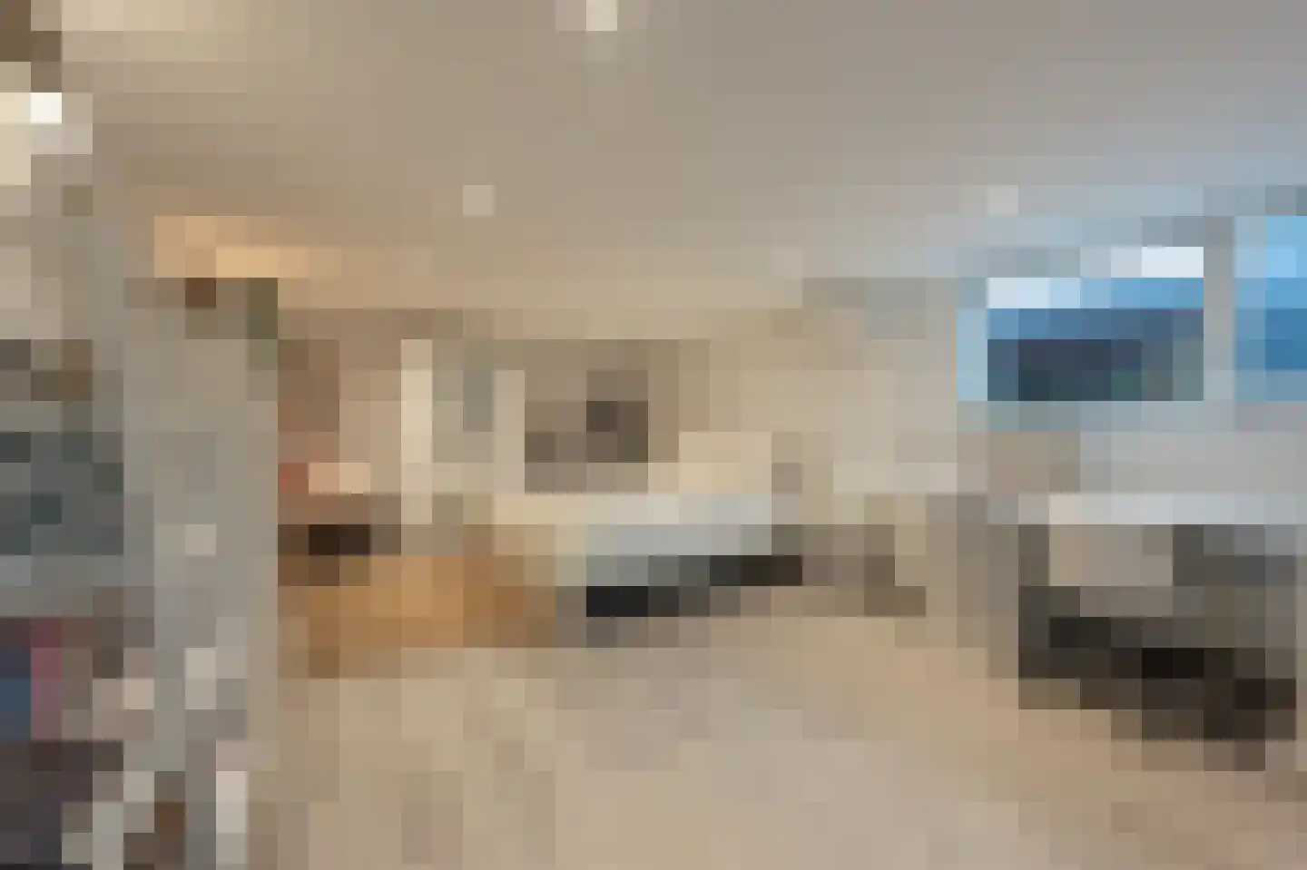 Hoeksedijk 49 Maasdam thumbnail 30