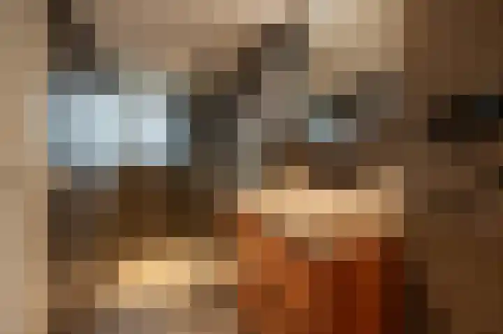 Hoeksedijk 49 Maasdam thumbnail 31