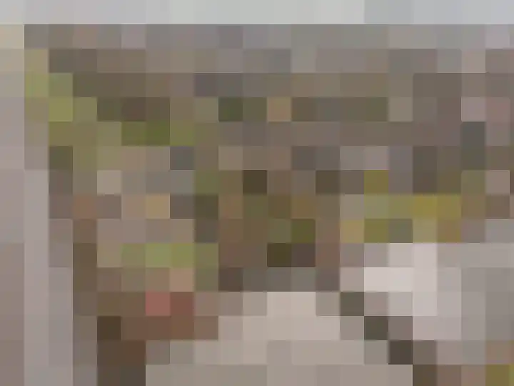 Hoeksedijk 49 Maasdam thumbnail 38