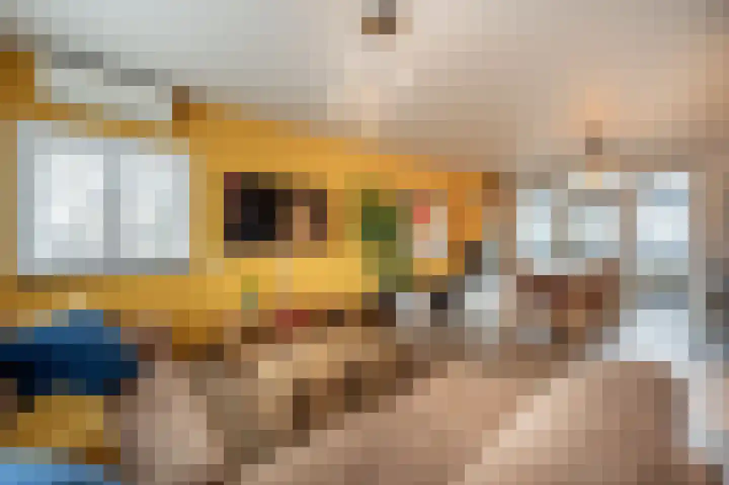 Hoeksedijk 49 Maasdam thumbnail 4