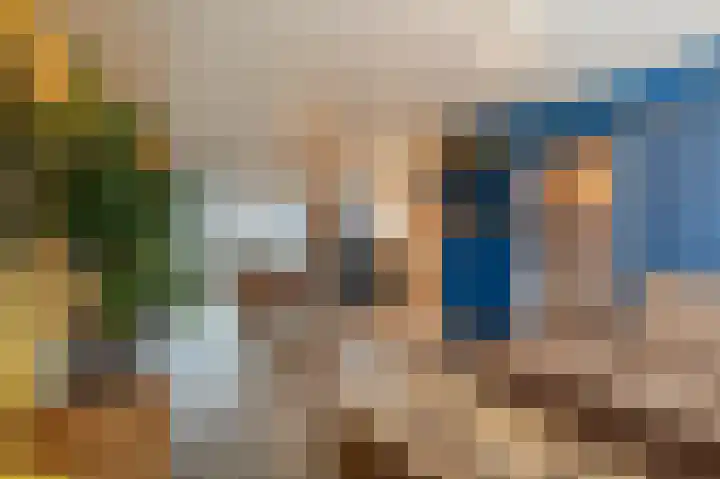 Hoeksedijk 49 Maasdam thumbnail 5