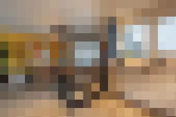 Hoeksedijk 49 Maasdam thumbnail 9