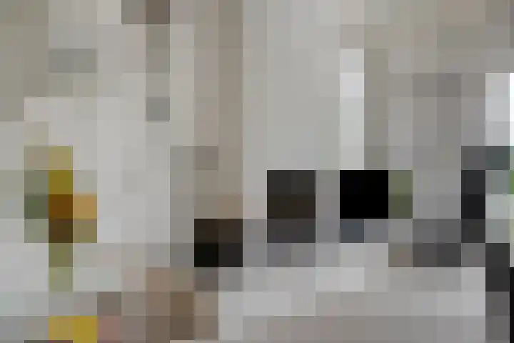Hoeksedijk 9 Maasdam thumbnail 10