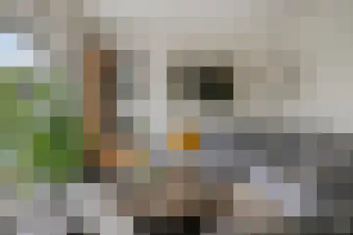 Hoeksedijk 9 Maasdam thumbnail 11