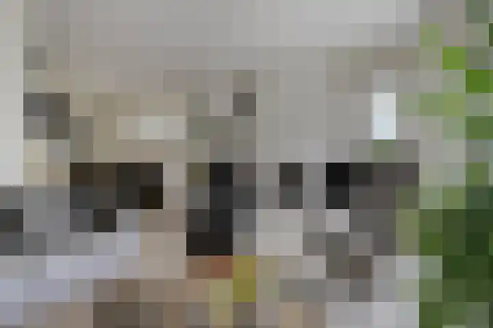 Hoeksedijk 9 Maasdam thumbnail 12