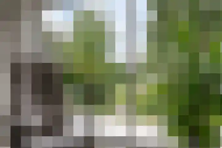 Hoeksedijk 9 Maasdam thumbnail 13