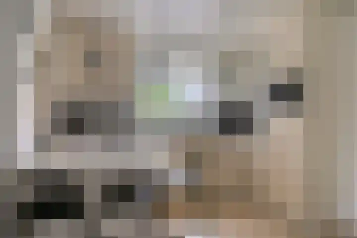 Hoeksedijk 9 Maasdam thumbnail 14