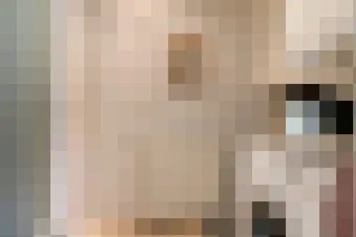 Hoeksedijk 9 Maasdam thumbnail 18